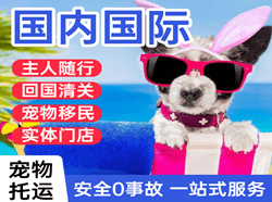 塔什库尔干红其拉甫空运地址国际宠物托运 【国